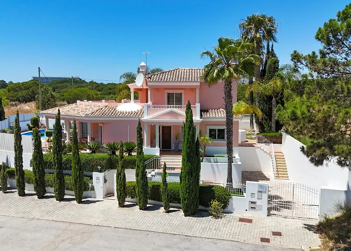 Duma 알부페이라