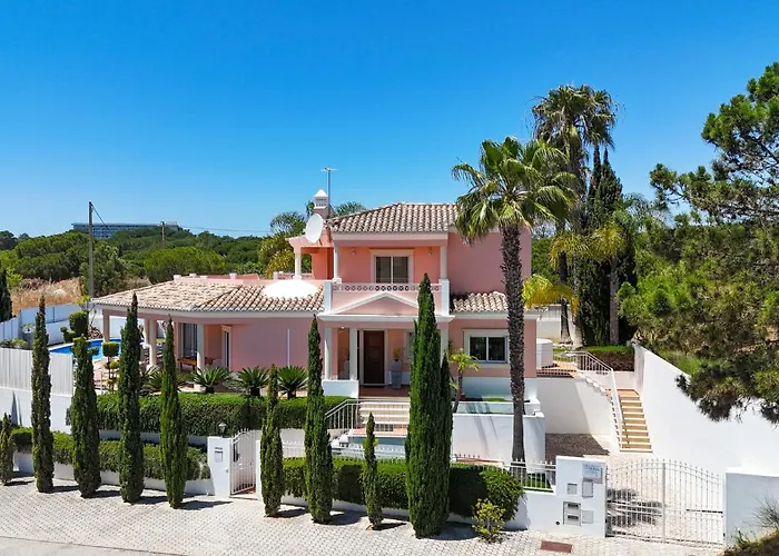 Duma * 알부페이라